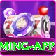 92 DADU Plus Gaming App