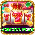 bet365 cricket Games Turbo