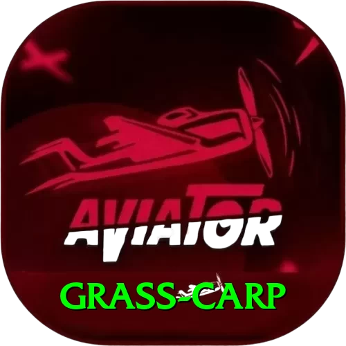 grass carp VIP v5.3.7 - 2