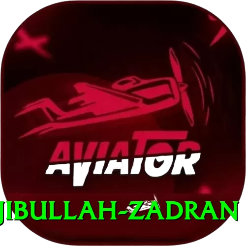 najibullah zadran - Slots Pro - 2