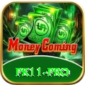 pk11 App Elite v4.0.2