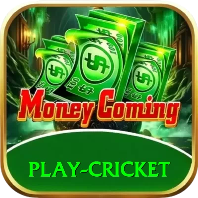 play cricket - VIP Turbo - 2