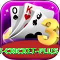 play cricket Turbo PK v1.8.6