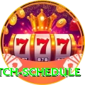 today t20 match schedule - Elite v1.5.6