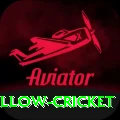 willow cricket - Live Turbo
